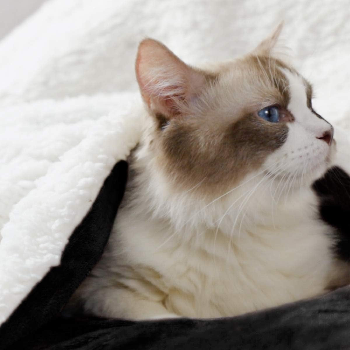 HOMEIDEAS Fleece Sherpa Blanket for Couch(Black, Throw), Thick Warm Velvety Blanket for Winter Christmas, 50 X 60 Inches